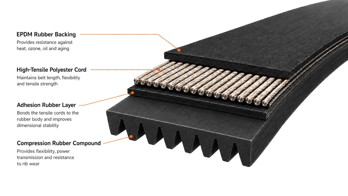 EGP PK ribbed belt construction cutaway