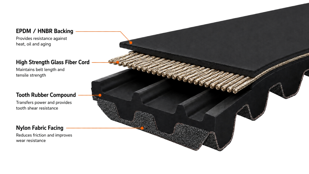EGP timing belt construction cutaway