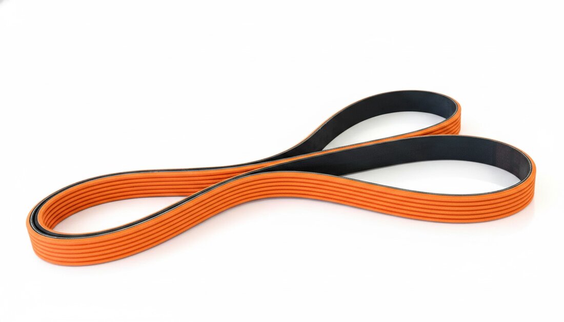 EGP PK ribbed belt